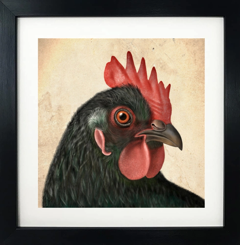 Framed Rooster Print Framed Rooster Print