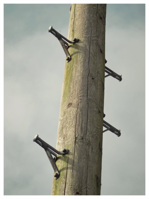 Telephone Posts