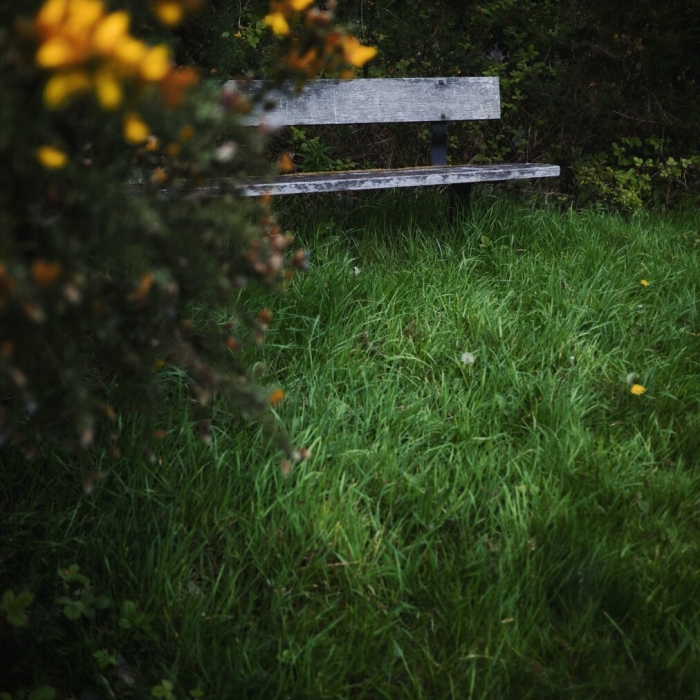 Bench