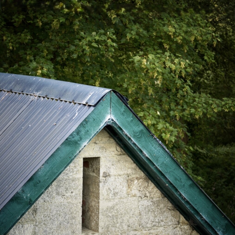 Shed near the lake
