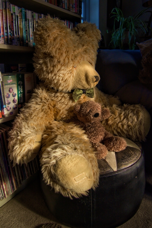 Large yellow teddy bear